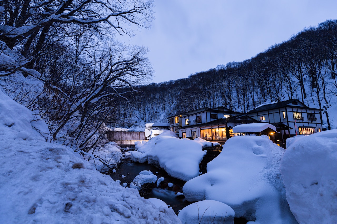 雪をかぶった石川花壇